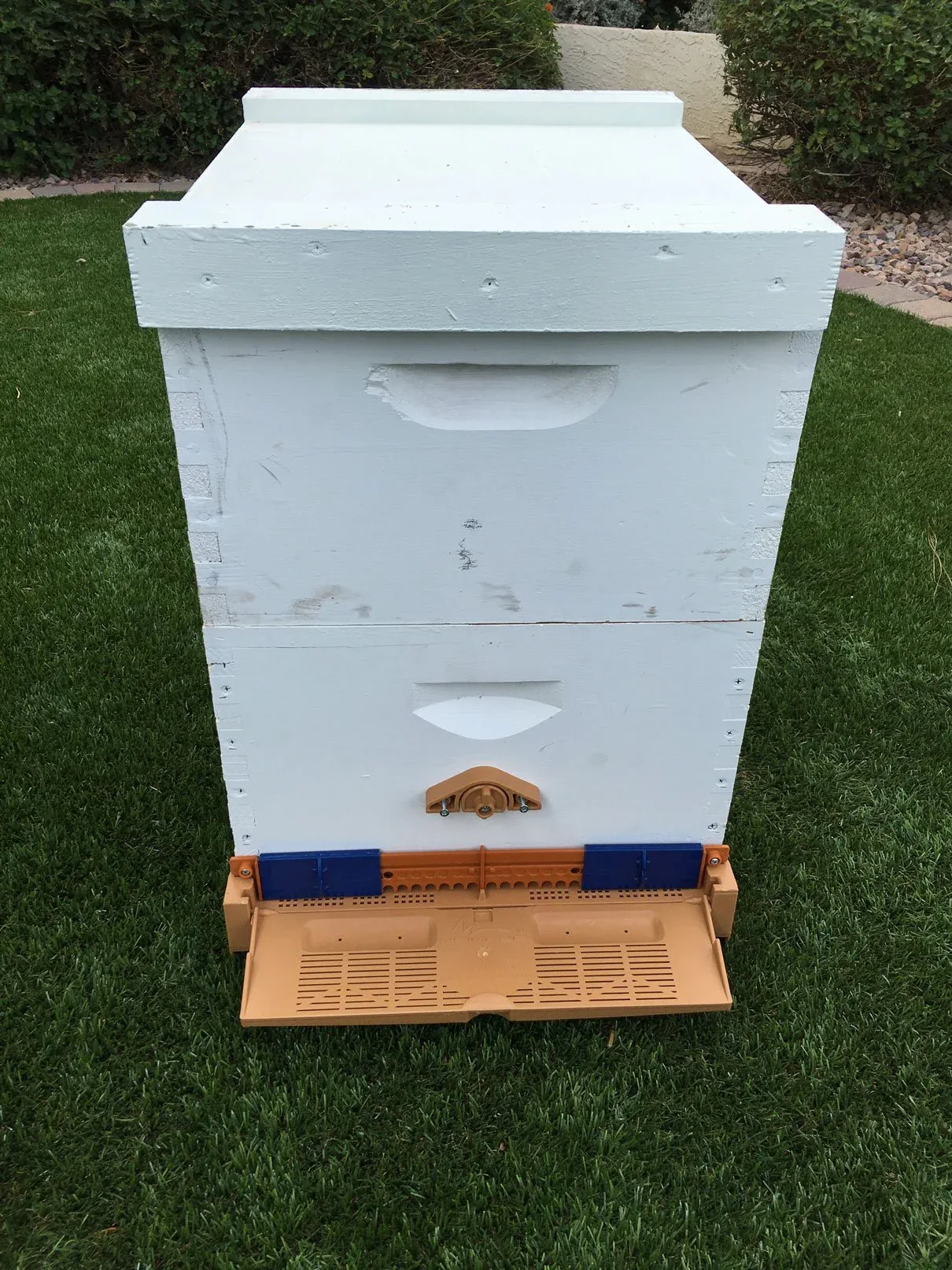 10 Frame Screen Bottom Board With Bottom Tray & Pollen Trap - Image 4