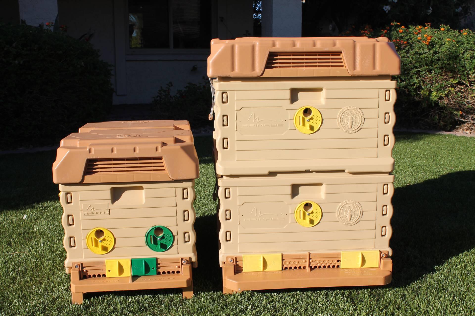 7 Frame NUC Bee Hive Set - Image 9