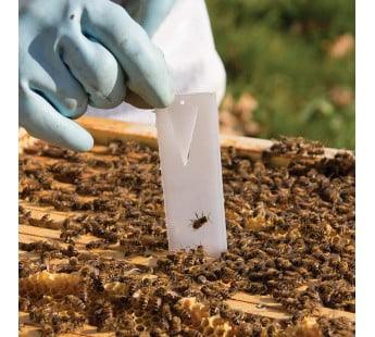Apivar2.0 Varroa Mite Treatment Strips - Image 5