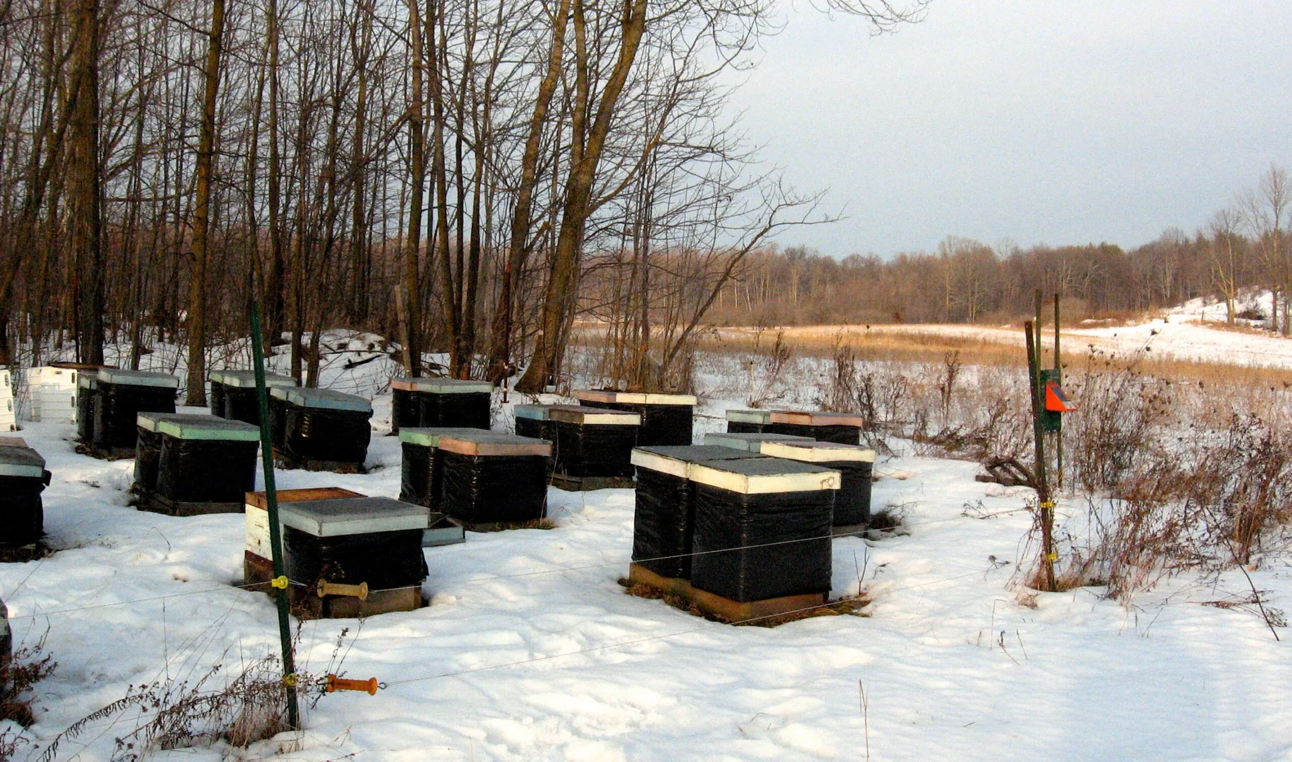 Bee Cozy Winter Hive Wrap - Image 3