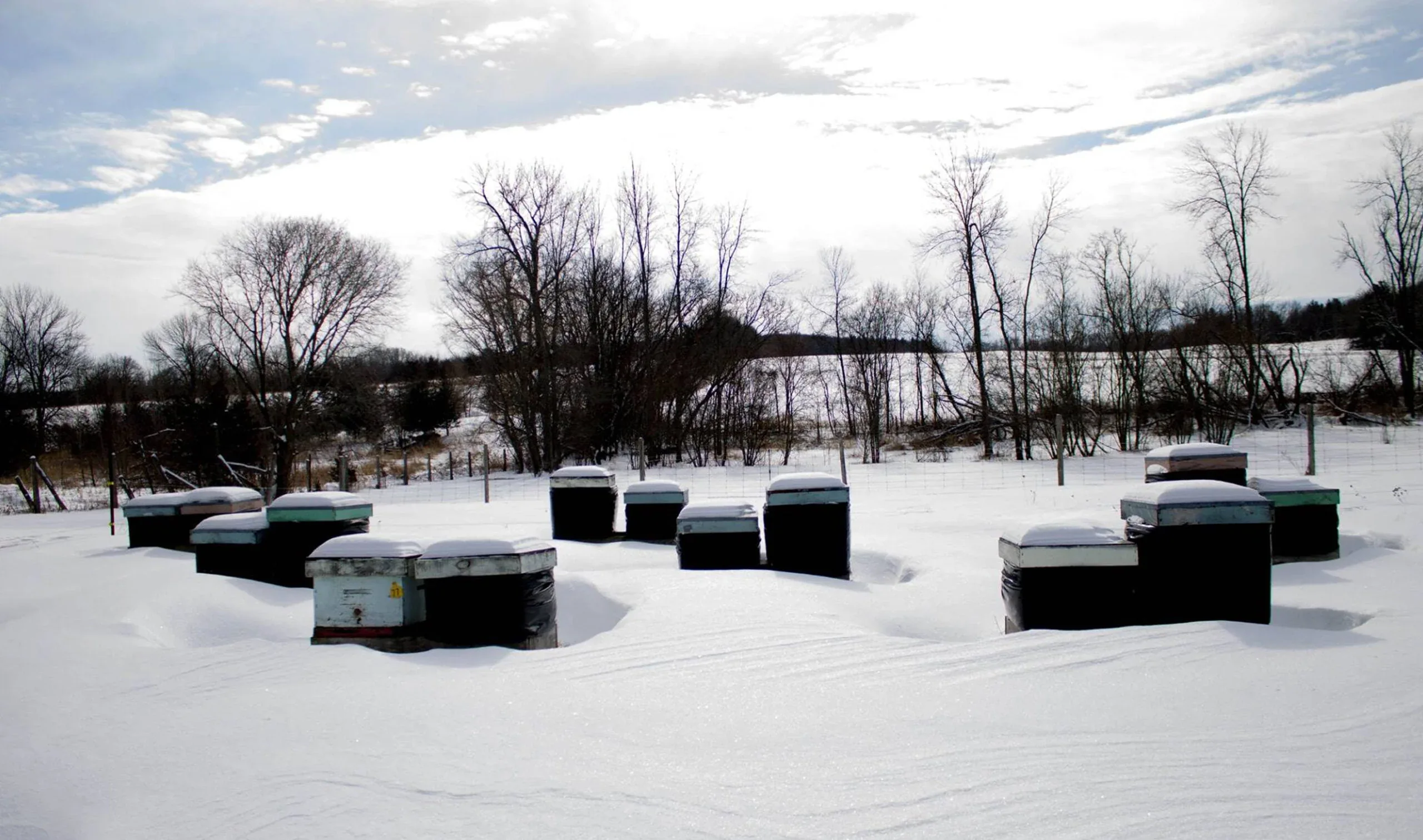 Bee Cozy Winter Hive Wrap - Image 4