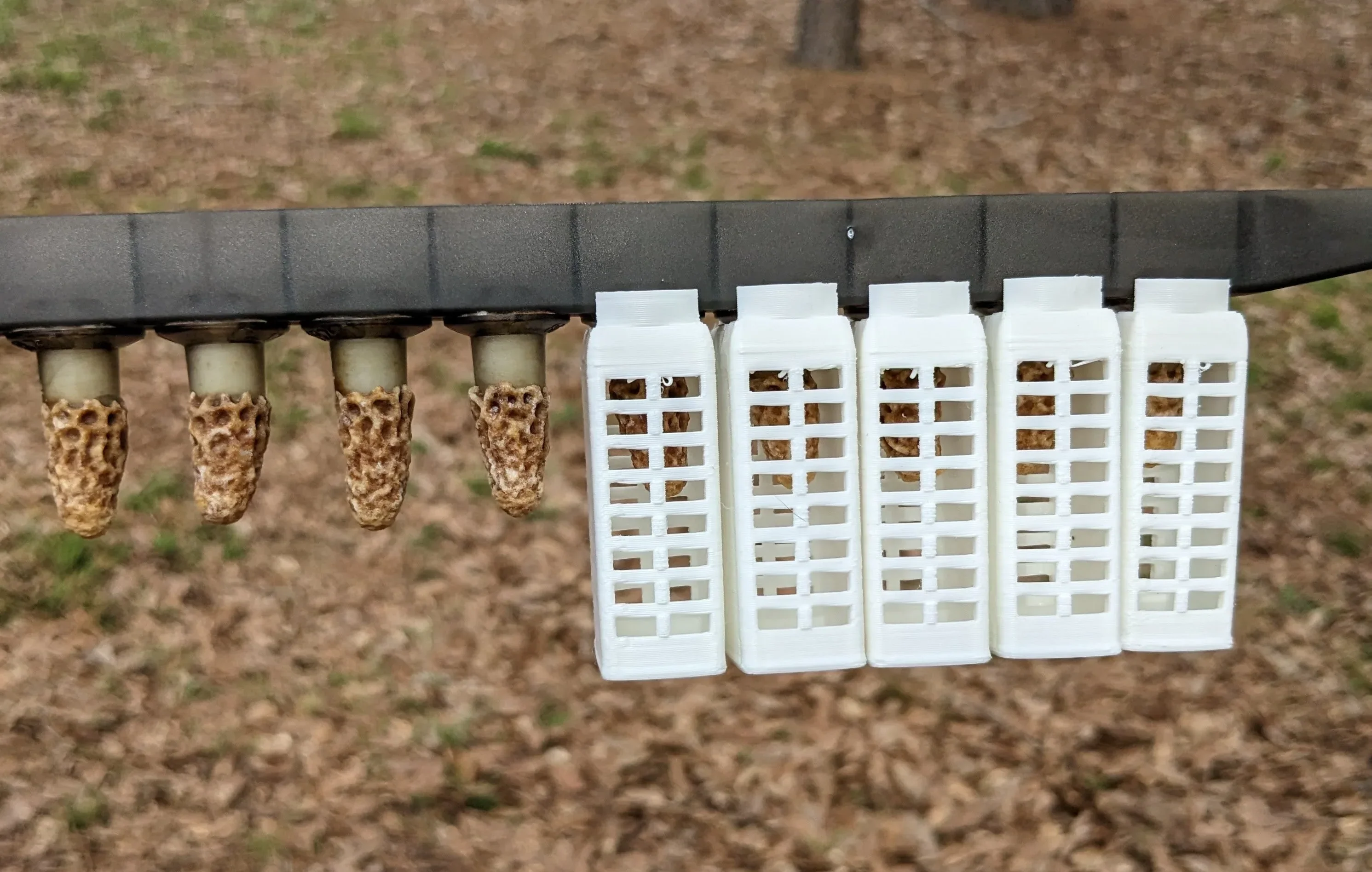 EZPZ Queen Cages, pk30 - Image 7