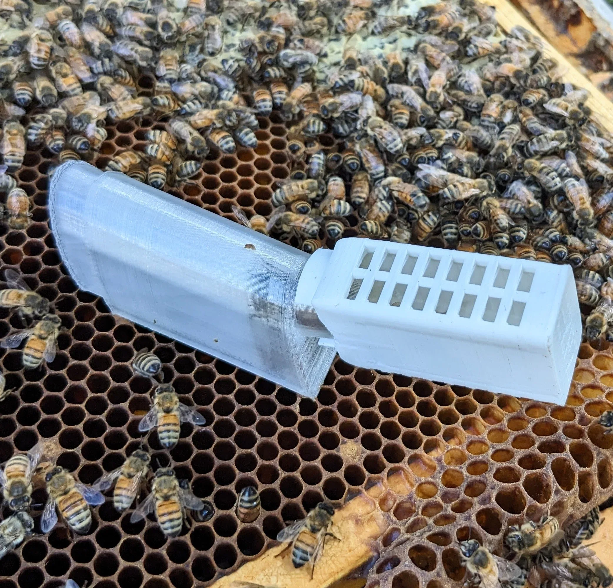 EZPZ Queen Honey Bee Cager 2.0 - Image 2