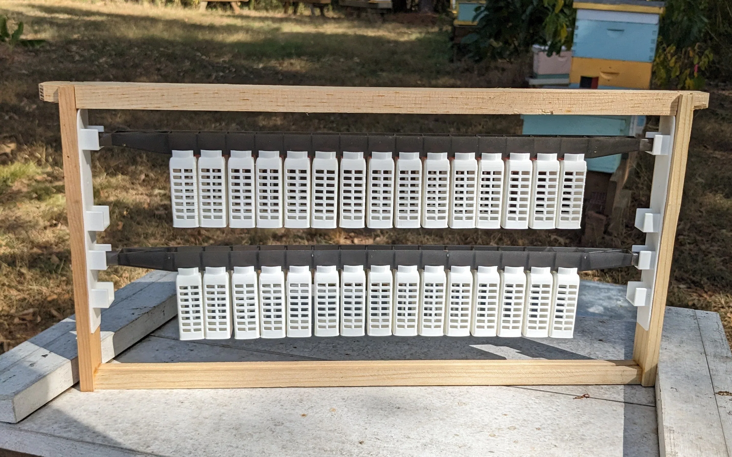 EZPZ Queen Rearing Kit - Image 2