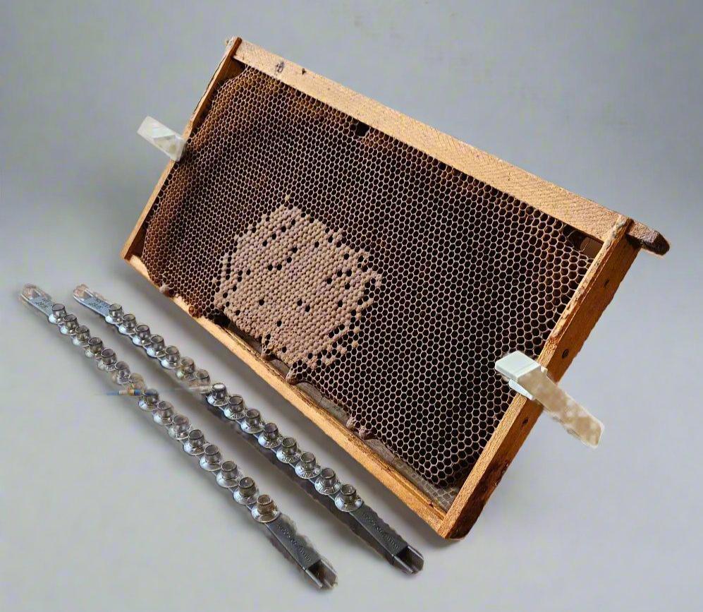 Grafting Station - Image 2