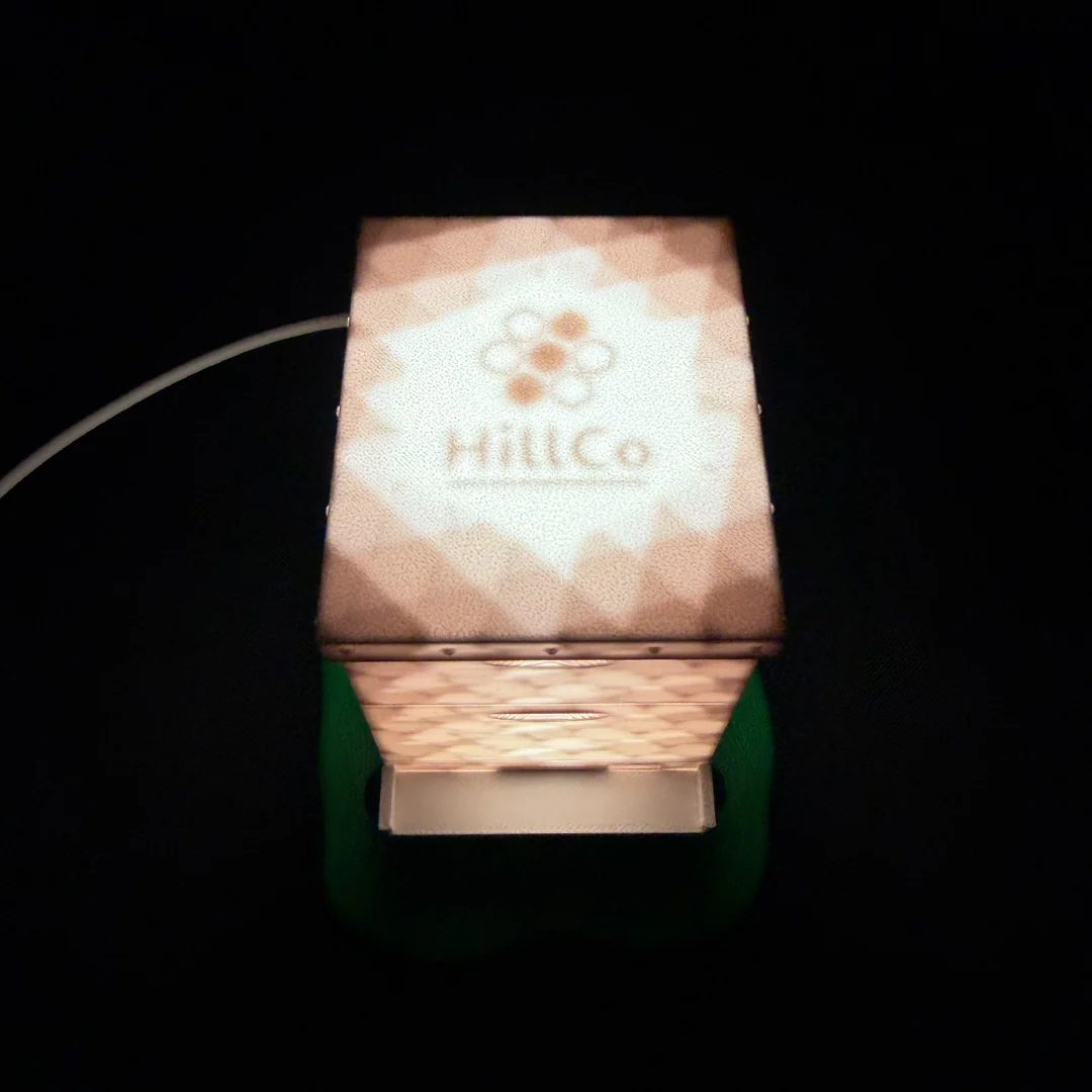 Hive Night Light - Image 4