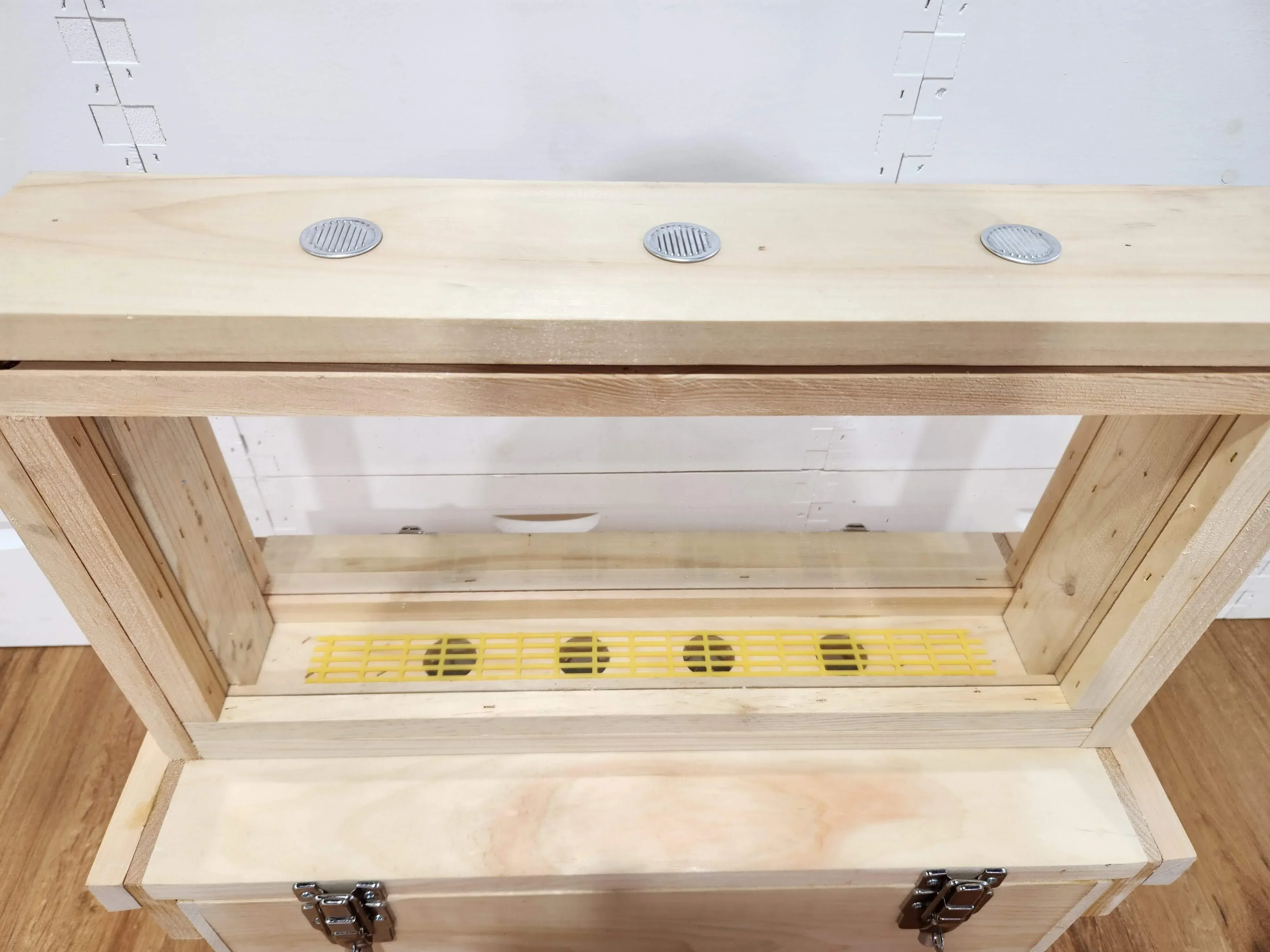 Observation Hive - Image 3