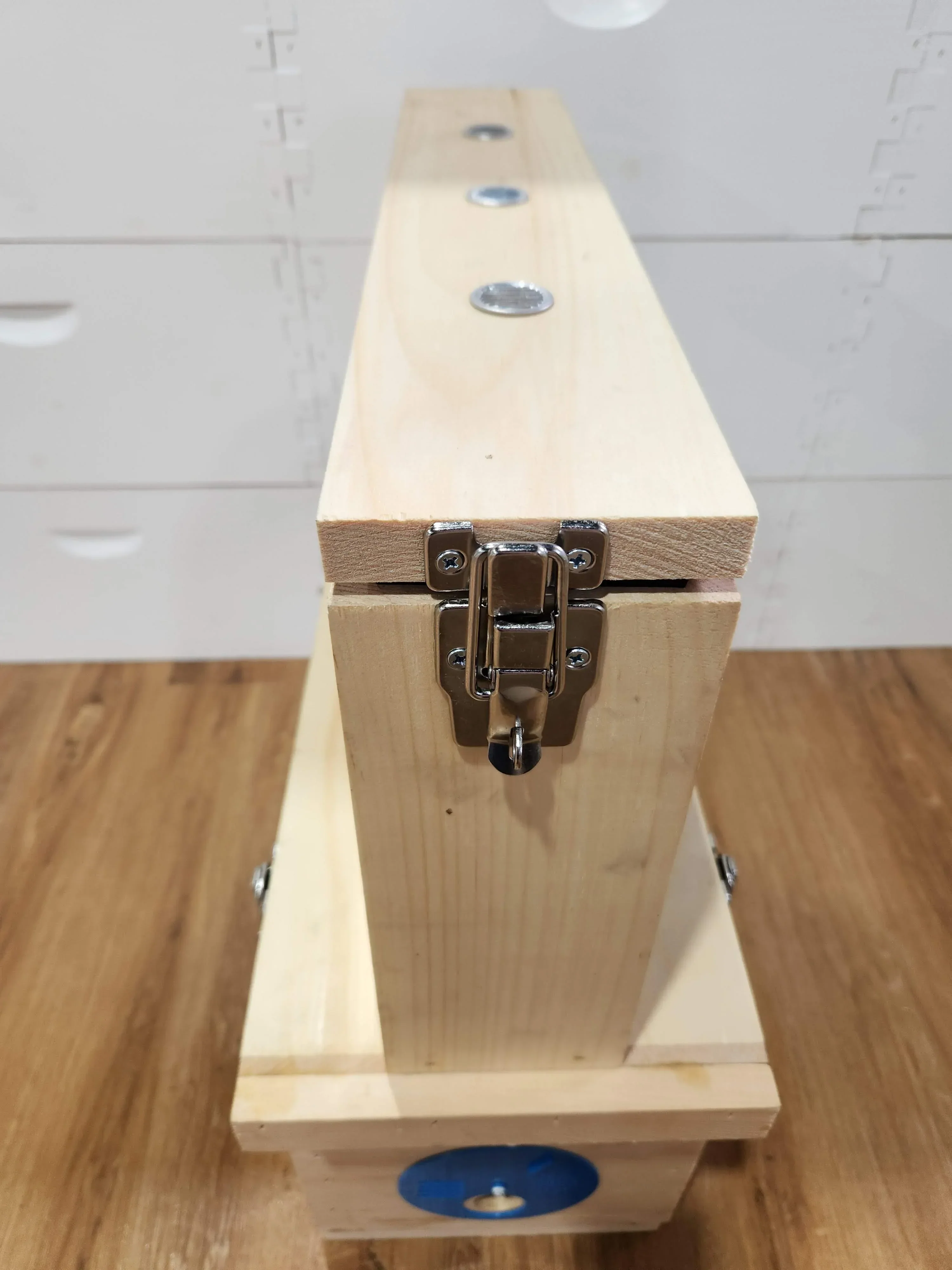 Observation Hive - Image 4