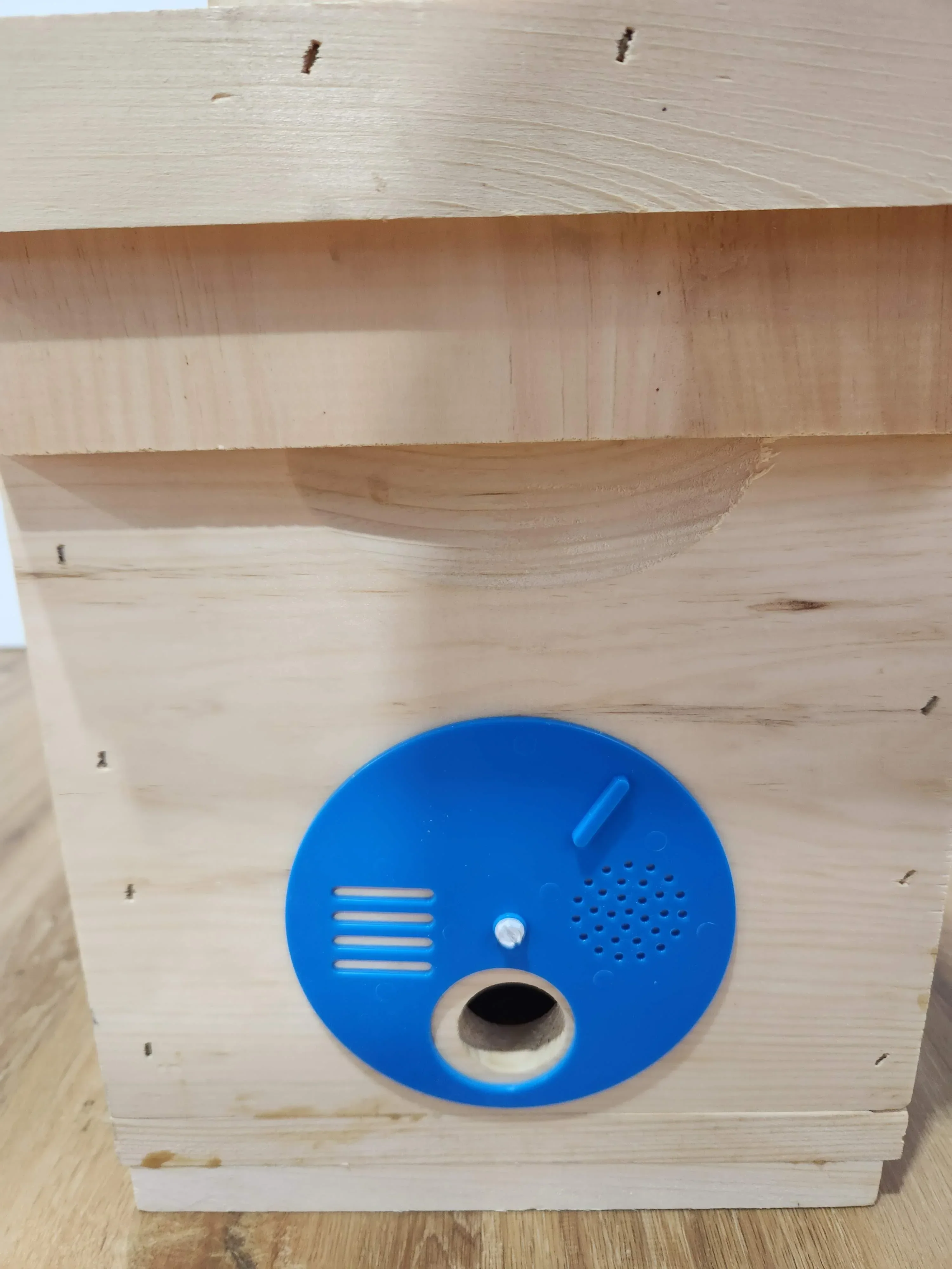 Observation Hive - Image 5