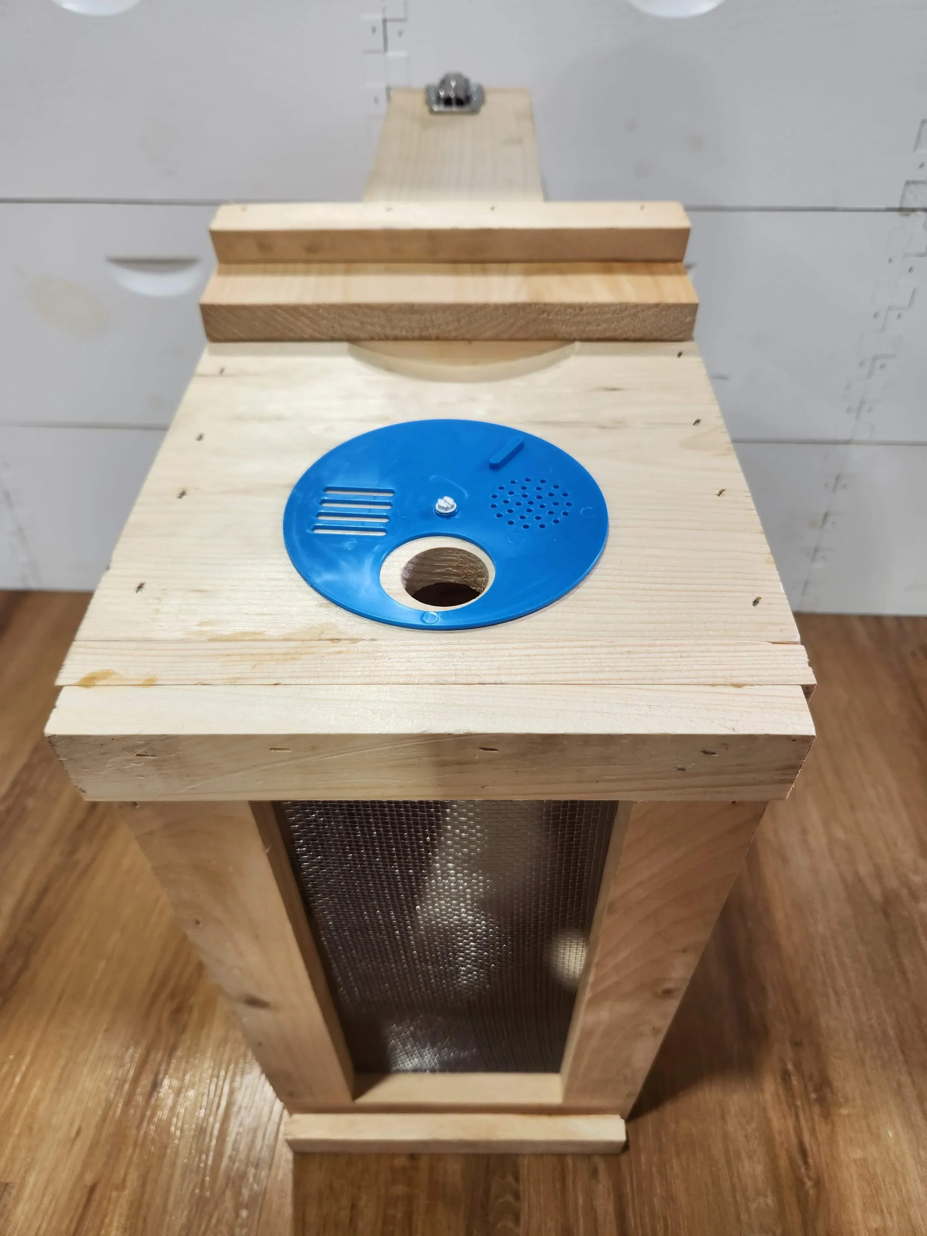Observation Hive - Image 6