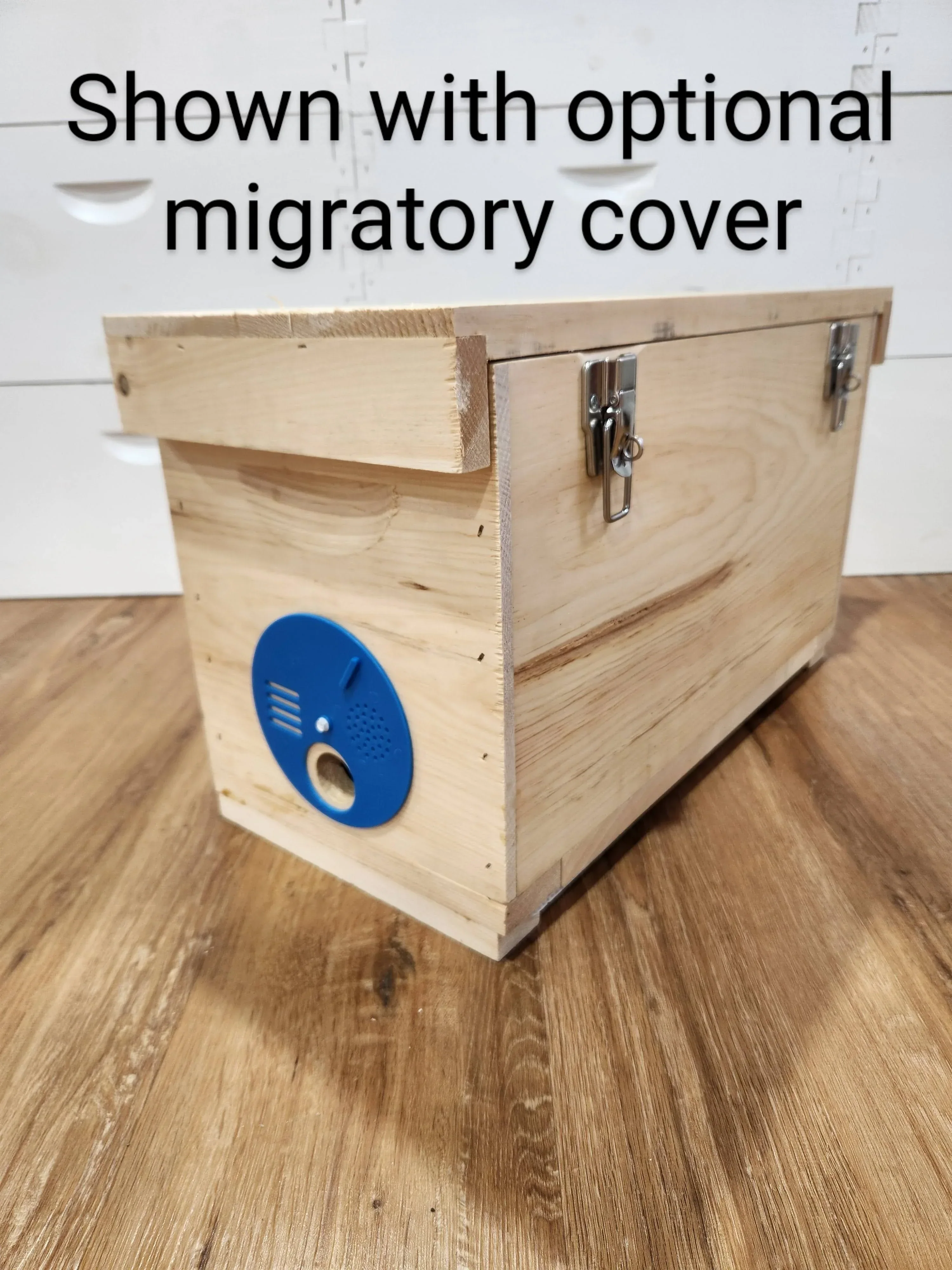 Observation Hive - Image 7