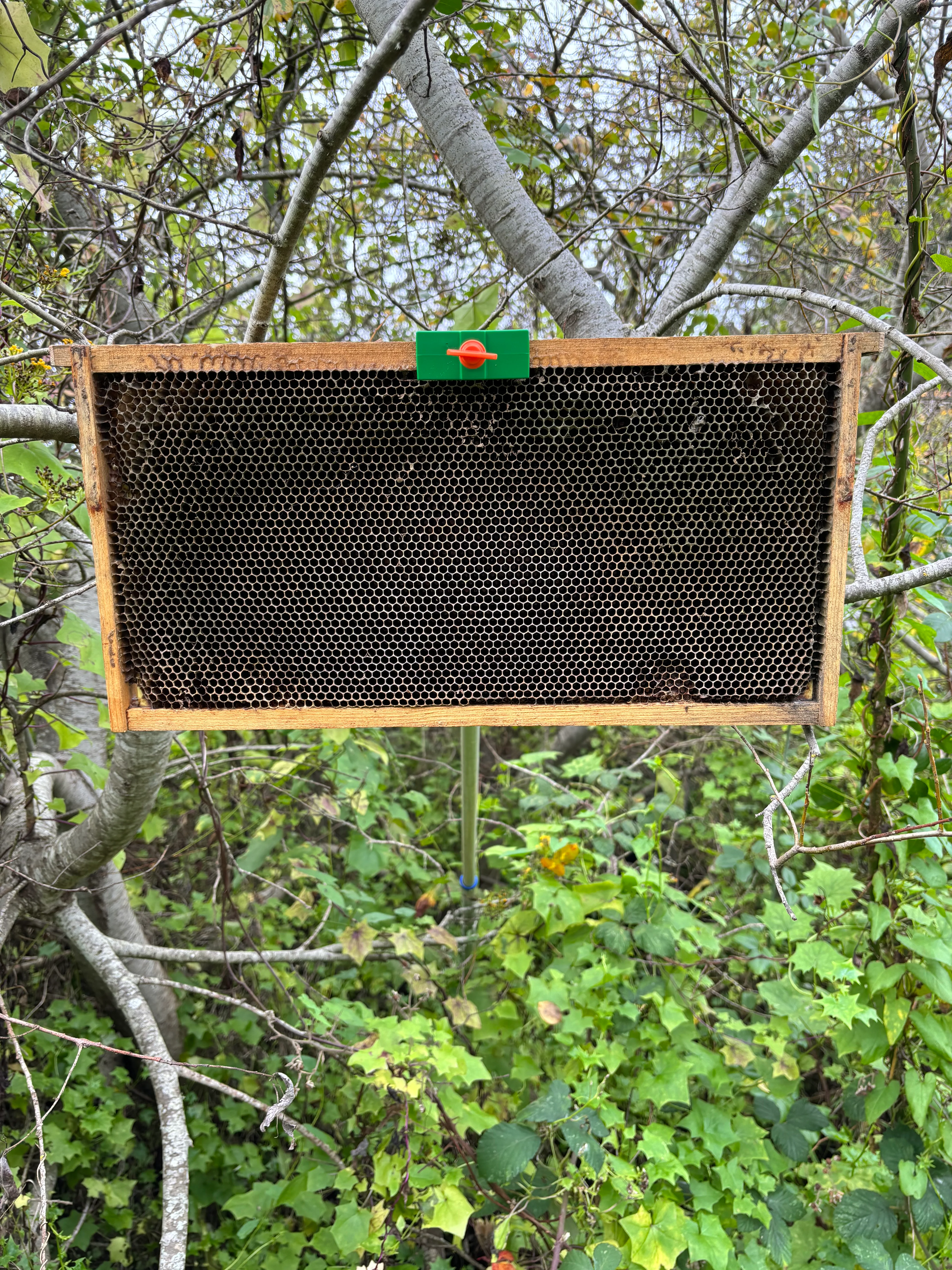 Swarm Reacher - Image 5