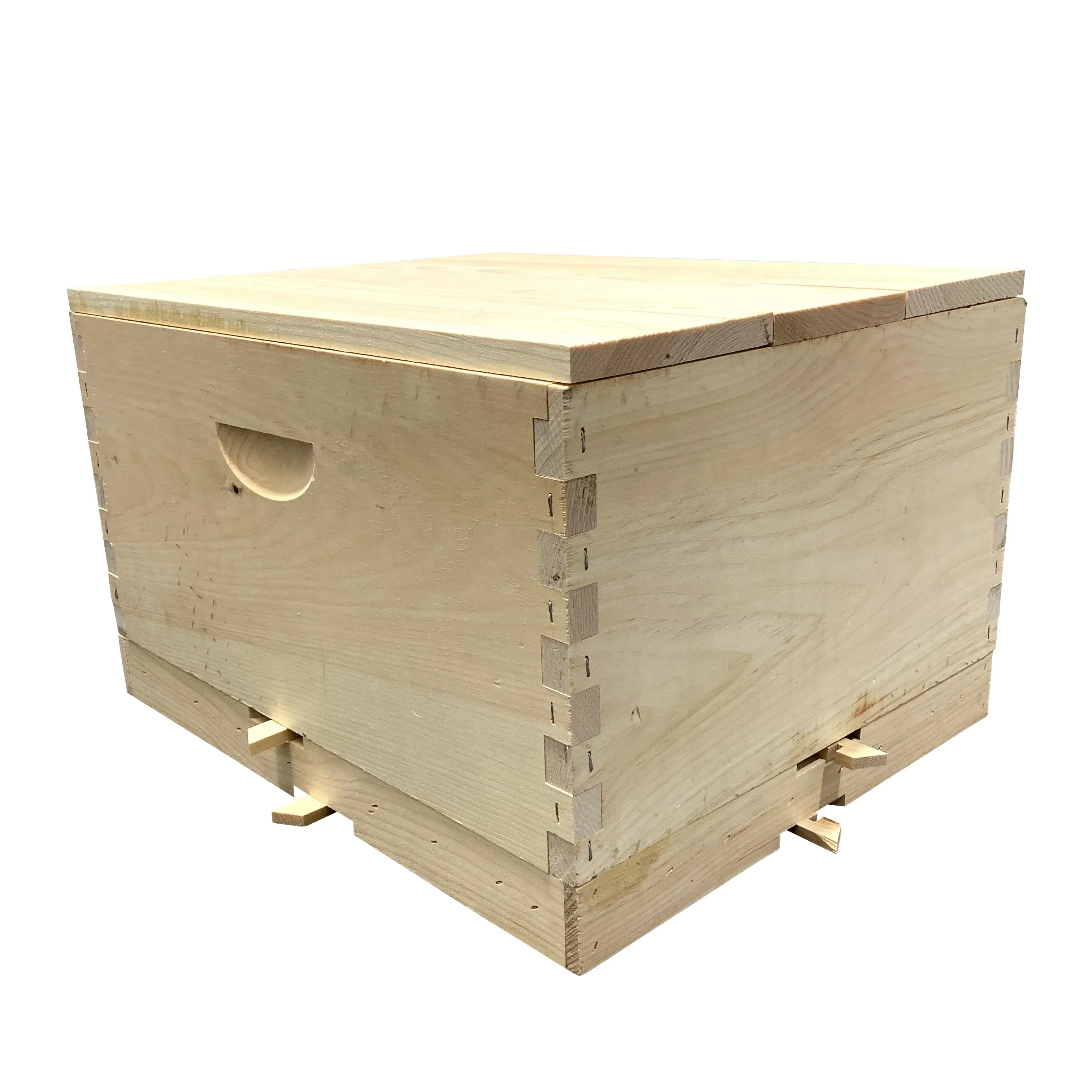 THE Queen Rearing Resource Hive - Image 5