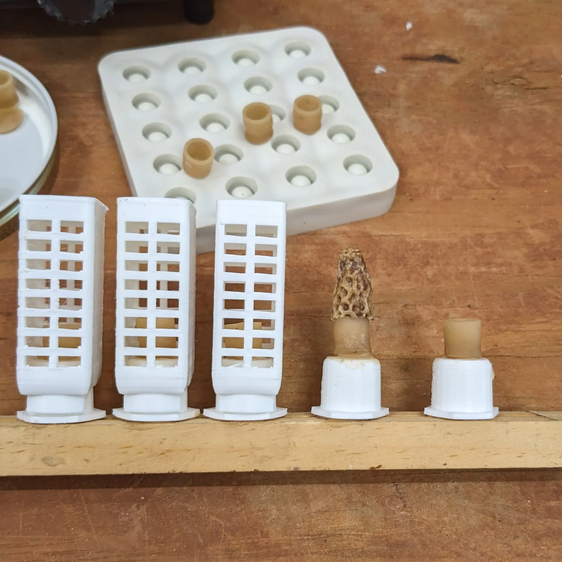 Wax Cell Cup Silicone Mold - Image 3